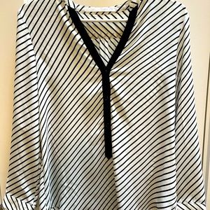 Long-sleeve V neck dressy blouse